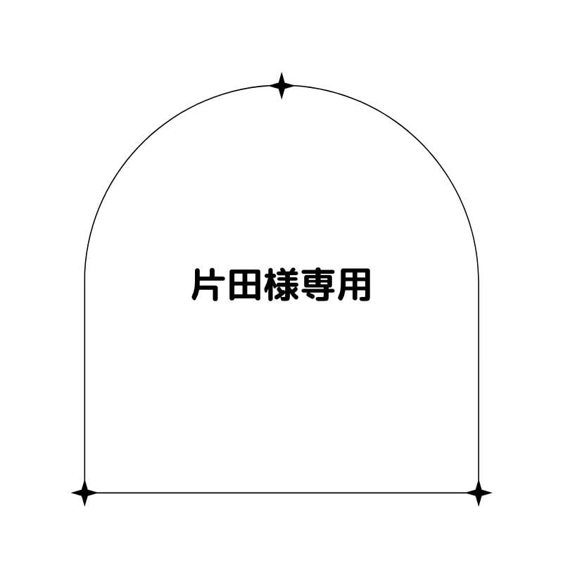 片田様専用