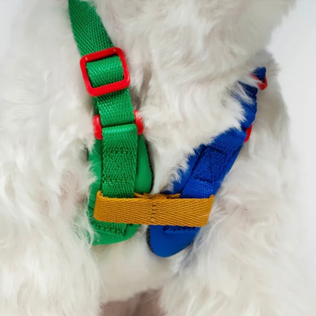 Sサイズ【SPUTNIK】ブランド10周年記念_X型ハーネス | ペット用品