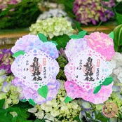 うつろい紫陽花-型抜き御朱印-　※5月26日より順次発送