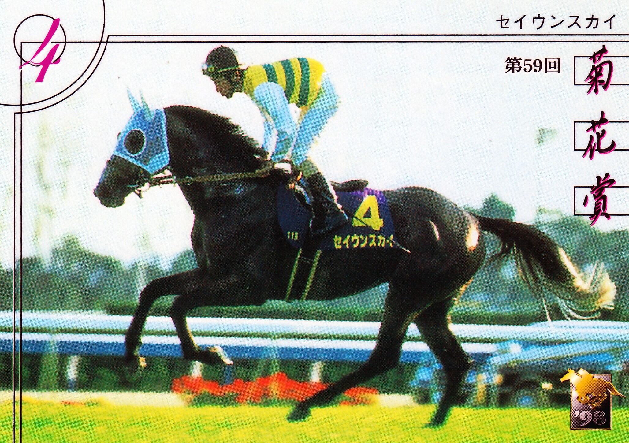 セイウンスカイ：第59回 菊花賞出走馬「サラブレッドカード 98年下半期