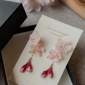 ぬくもりの桜　耳飾り