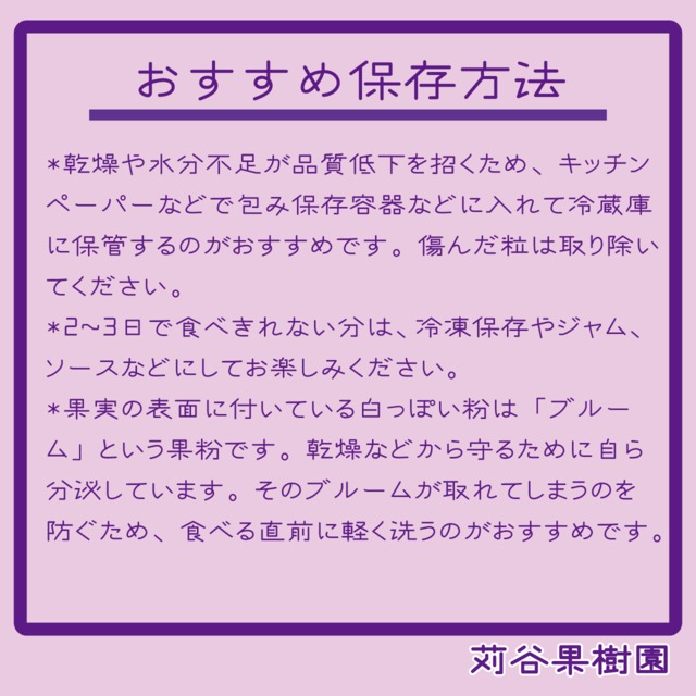 【2箱セット】【2026.7.1以降順次発送】【L～2L】大粒ブルーベリー約２kg《1箱250g×4パック入×2箱》