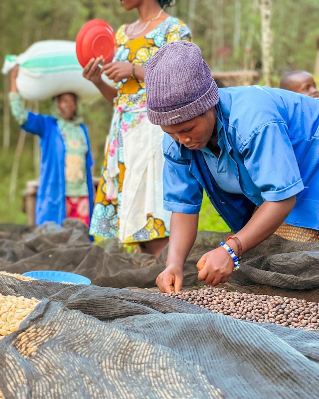 Rwanda Muzo Washed　コーヒー　生豆　500g