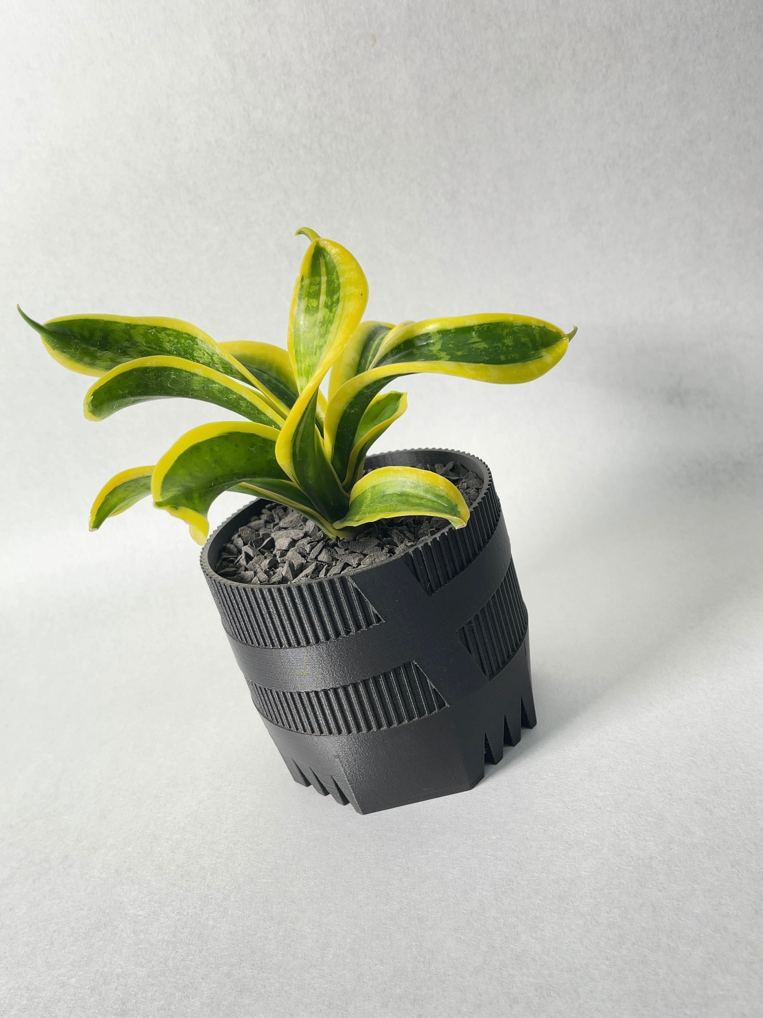 e6ba8feb13a2edb8088f9d2b30c1ef