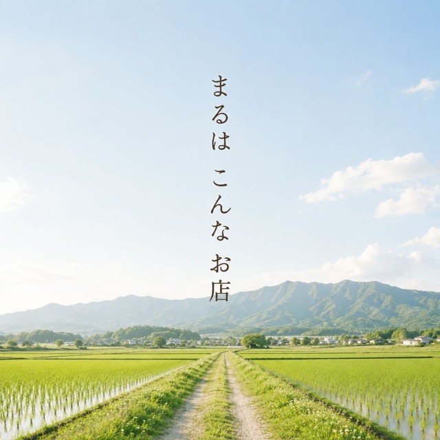 まるはこんなお店