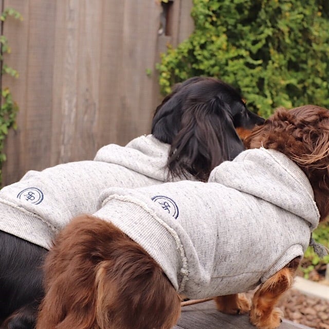 ヴィンテージパーカー | カニンヘンダックスとミニチュアダックス専門