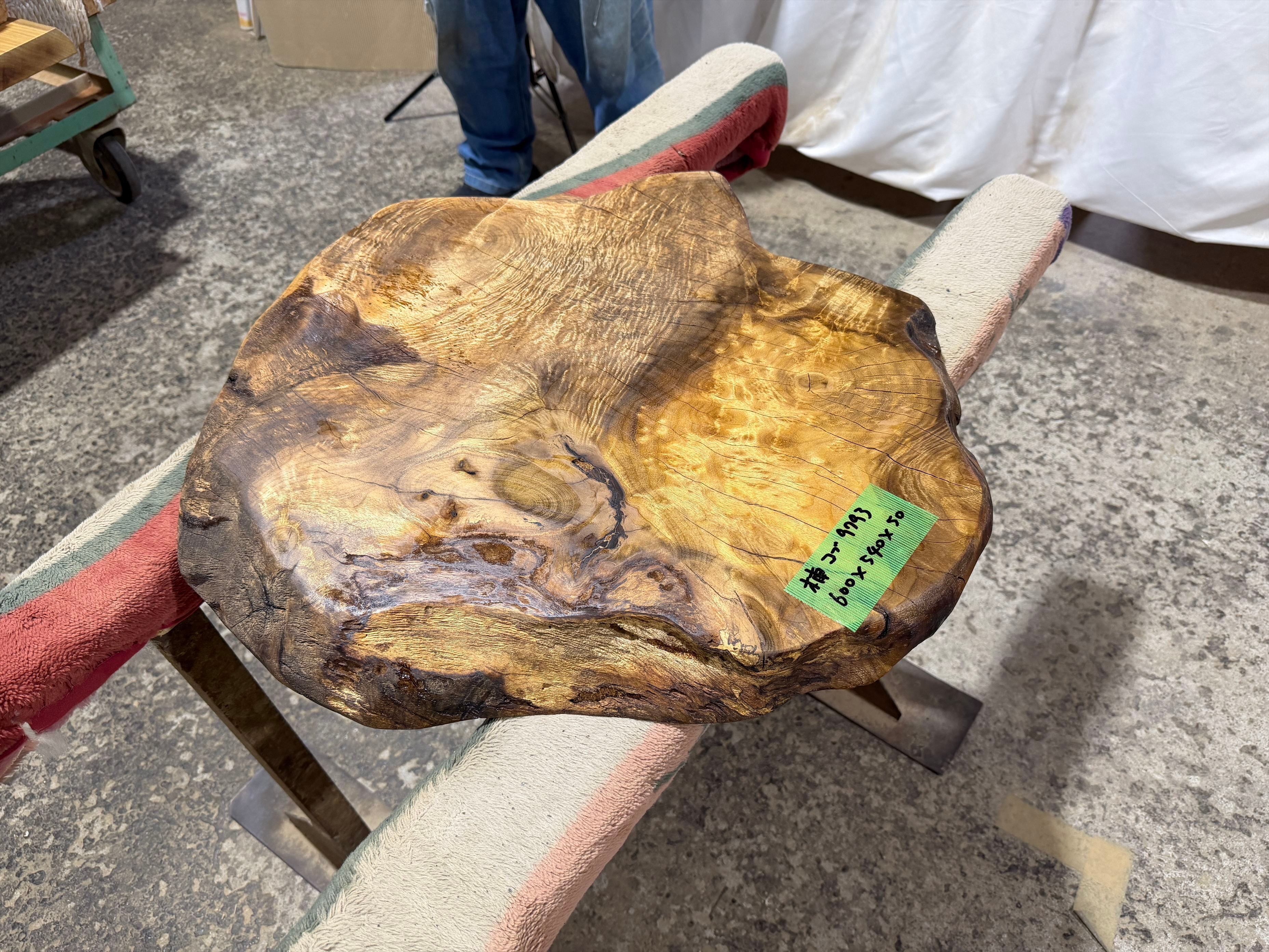 クス9793 楠 瘤 一枚板無垢材 600x540x50mm ローテーブル センターテーブル 天板 樟 くすのき こぶ バール
