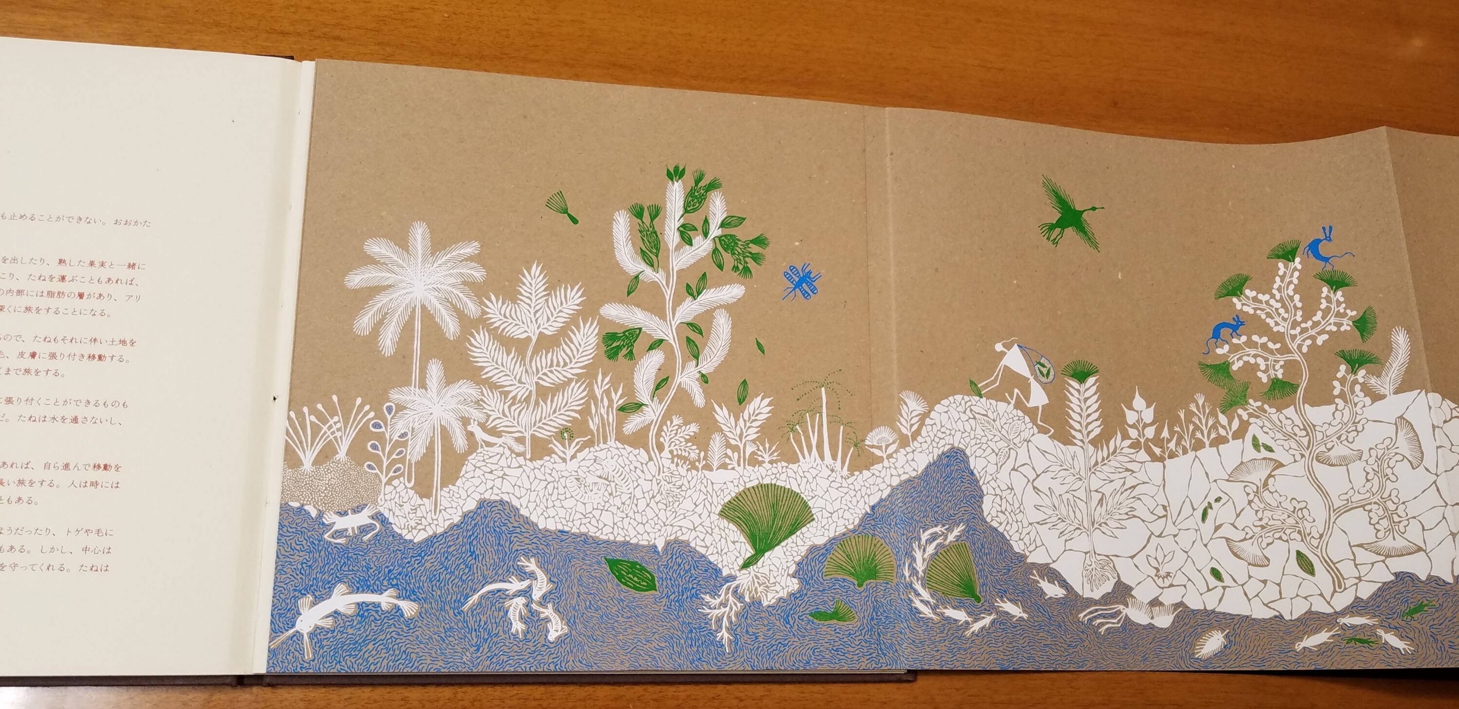 たねページ 絵本「たね」 | 季々