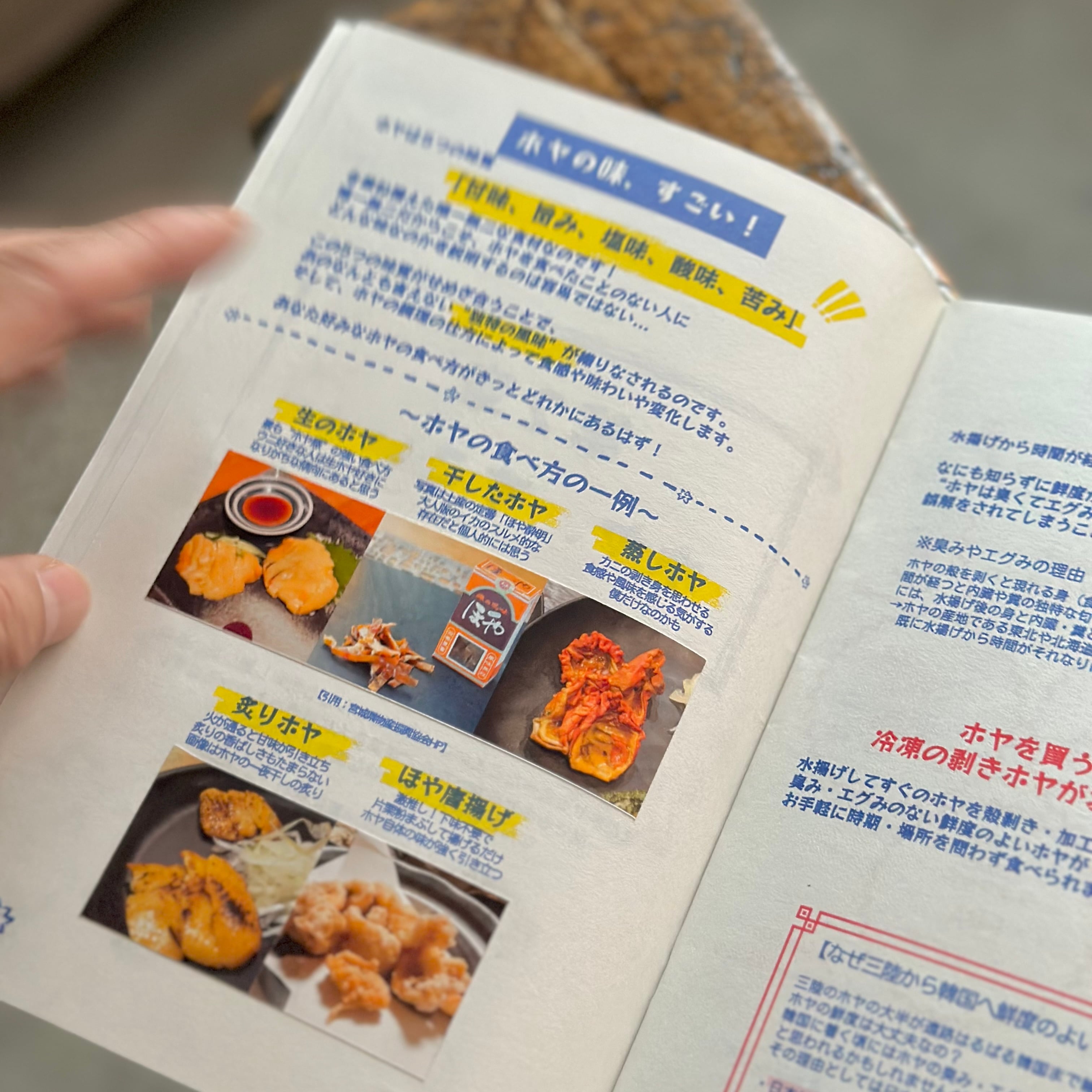 ホヤZINE Vol.1 | Space Utility TOKYO