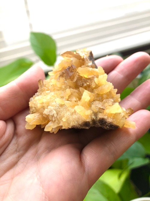 わたしが創造の源