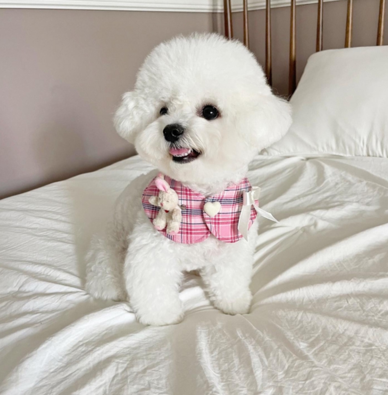 即納【hugmemore】mimi cape pink