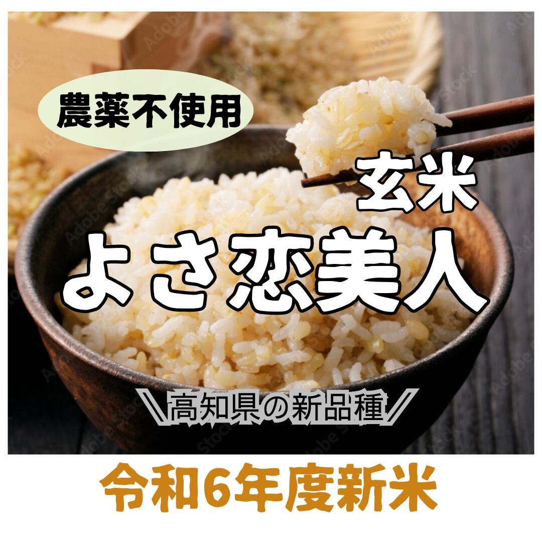 香川県産コシヒカリ 玄米30kg 6年産 香川県産コシヒカリ 玄米30kg 6年産