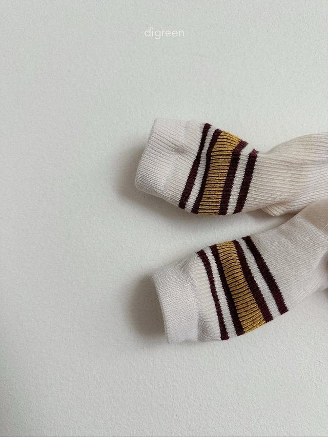 〘予約〙digreen / socks_ Authentic