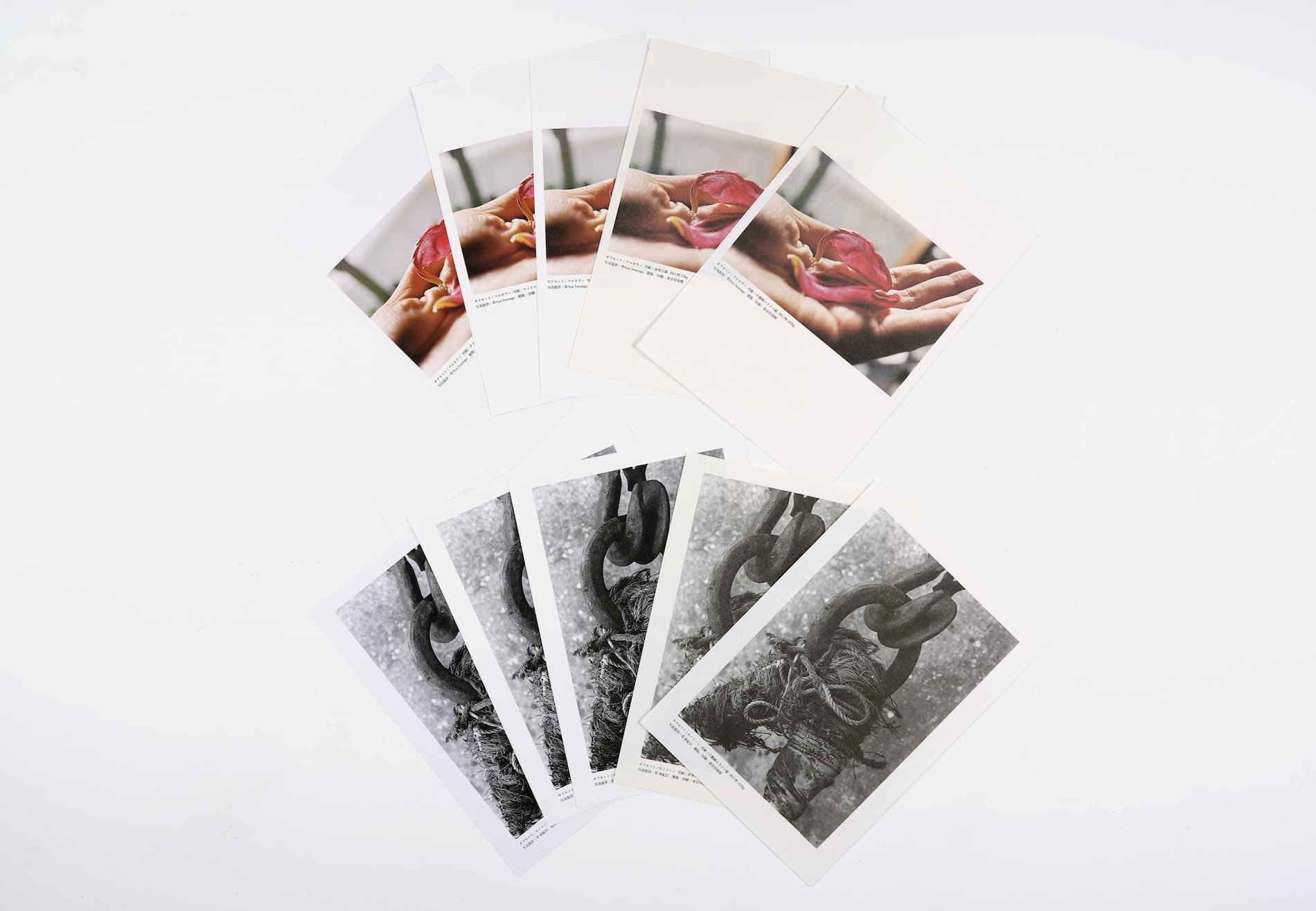 オフセット・写真印刷見本 〜 紙による多彩な表現をみる | PRESSMAN BOOKS