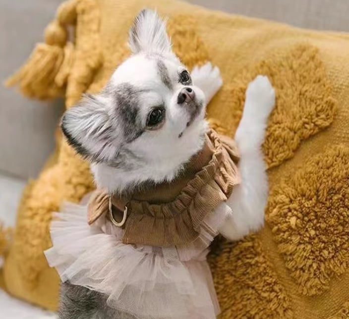 ドッグ 犬 小型犬 ドレス ハーネス 散歩グッズ セミフレア 細身