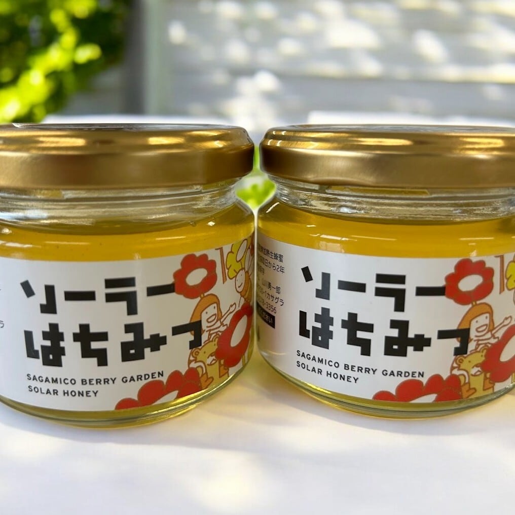 はちみつ 20日 ソーラーはちみつ2個セット | さがみこベリーガーデンOnlineShop