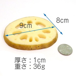 食べちゃいそうな れんこん コースター 食品サンプル