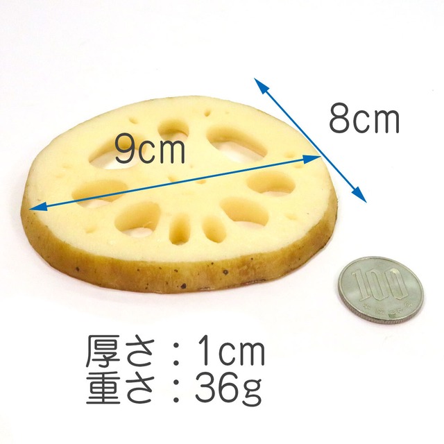 食べちゃいそうな れんこん コースター 食品サンプル