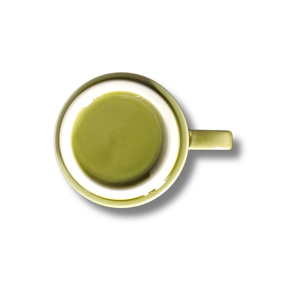 北欧風マグカップ（トリケラトプス） | DINO-A-LIVE