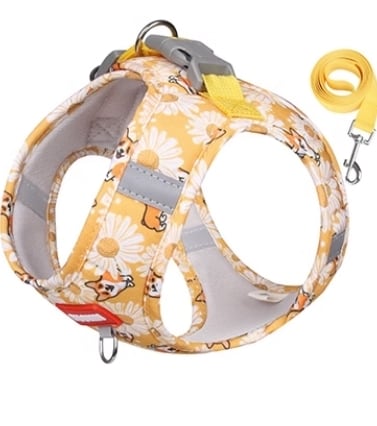 ドッグ 犬 小型犬 アウター リード リードセット ハーネス セット リード付き スリム スマート ベーシック カラフル スマイル アニマル お花 ストラップ かわいい きれいめ シンプル おしゃれ ラフ ボーイッシュ スポーティー ルーズ 個性的 かっちり ラブリー キュート プリンセス フェアリー 都会的 ラグジュアリー ベーシック プレッピー シンプル フレンチ シック カントリー キャラクター 柄 オールシーズン ロングシーズン シーズンレス 男の子 女の子 成犬 デート お出かけ アウトドア イ