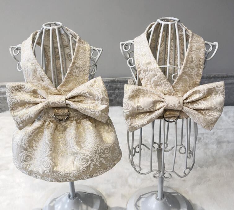 《予約》2101218 ゴールデンゴージャスワンピース