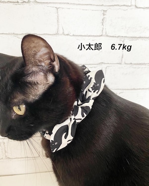 黒猫模様のリボンシュシュ