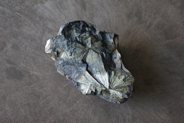 エンスタタイト Enstatite 849