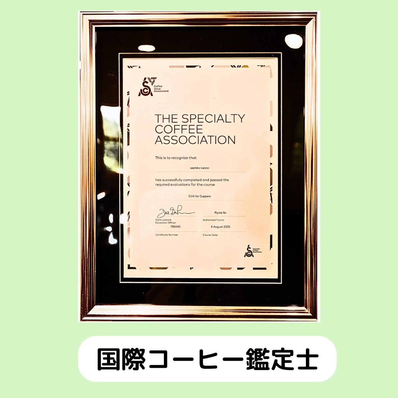 送料無料‼　岳山定期便（たっぷり500g）粉挽き済み