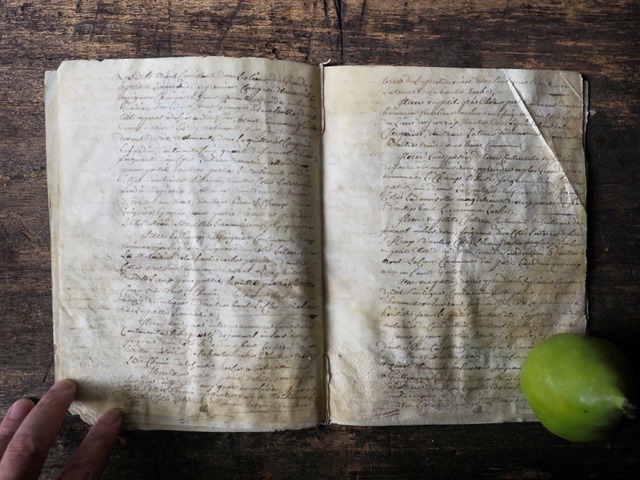 羊皮紙の古文書 Ⅲ