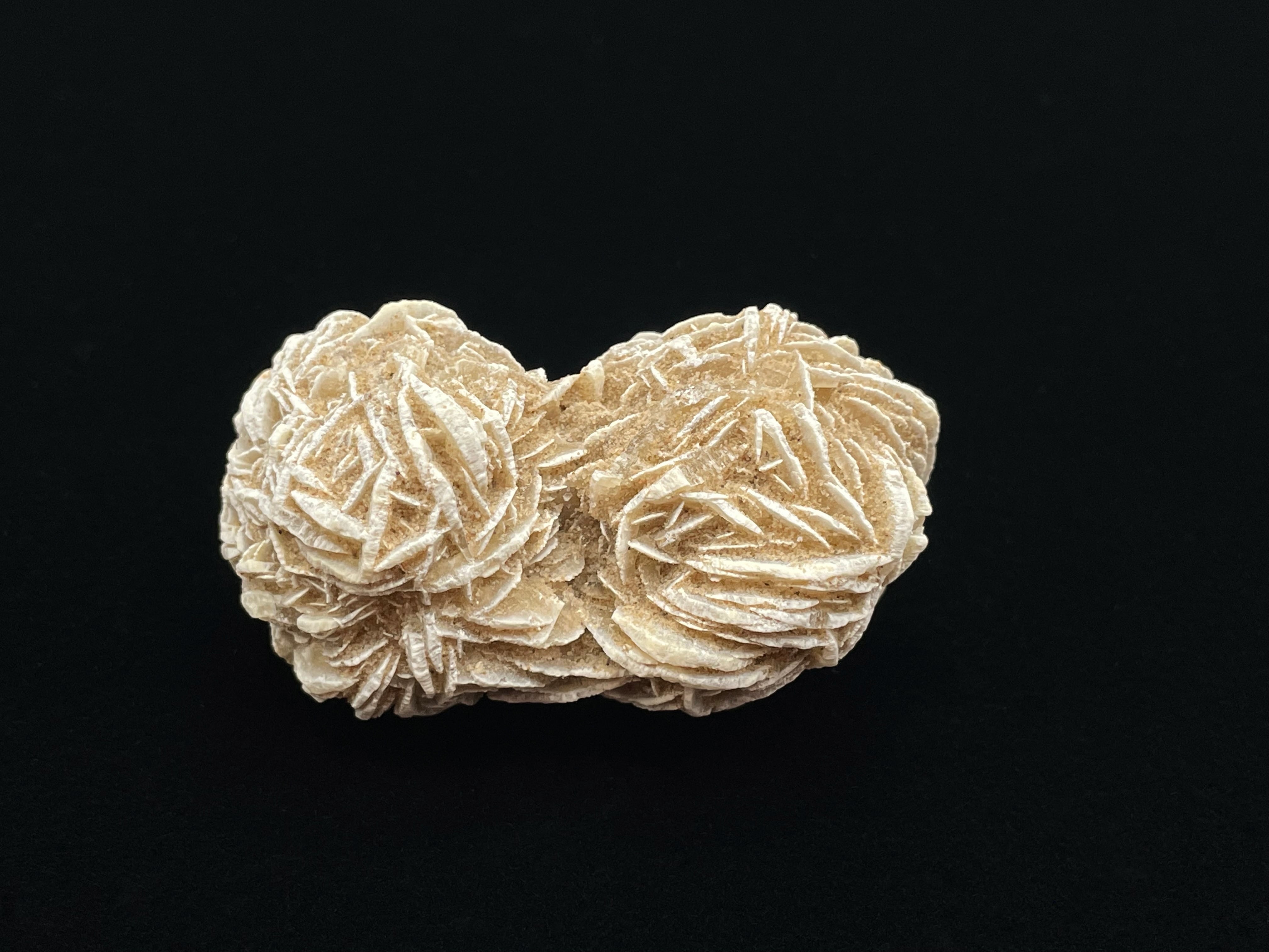 砂漠の薔薇 デザートローズ（砂漠の薔薇） | DantaliaN