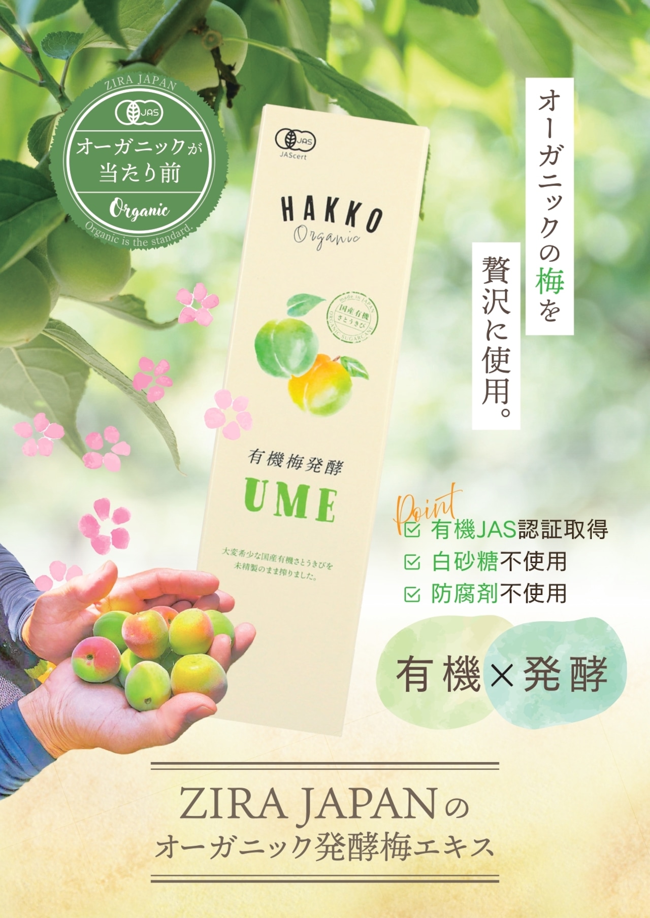 有機発酵梅エキスUME500ml