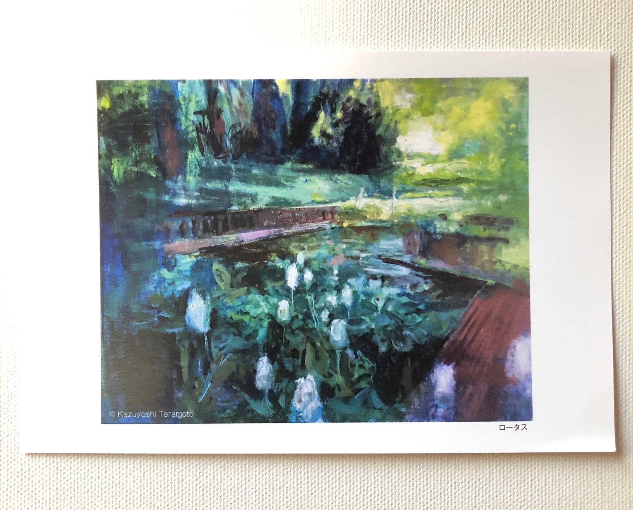 絵師 直筆サイン入り画集クリアファイル 画集 ポストカード タペストリーなど ≪直筆サイン≫【カントク】カントク Rough & LineArt 軸中限定セット