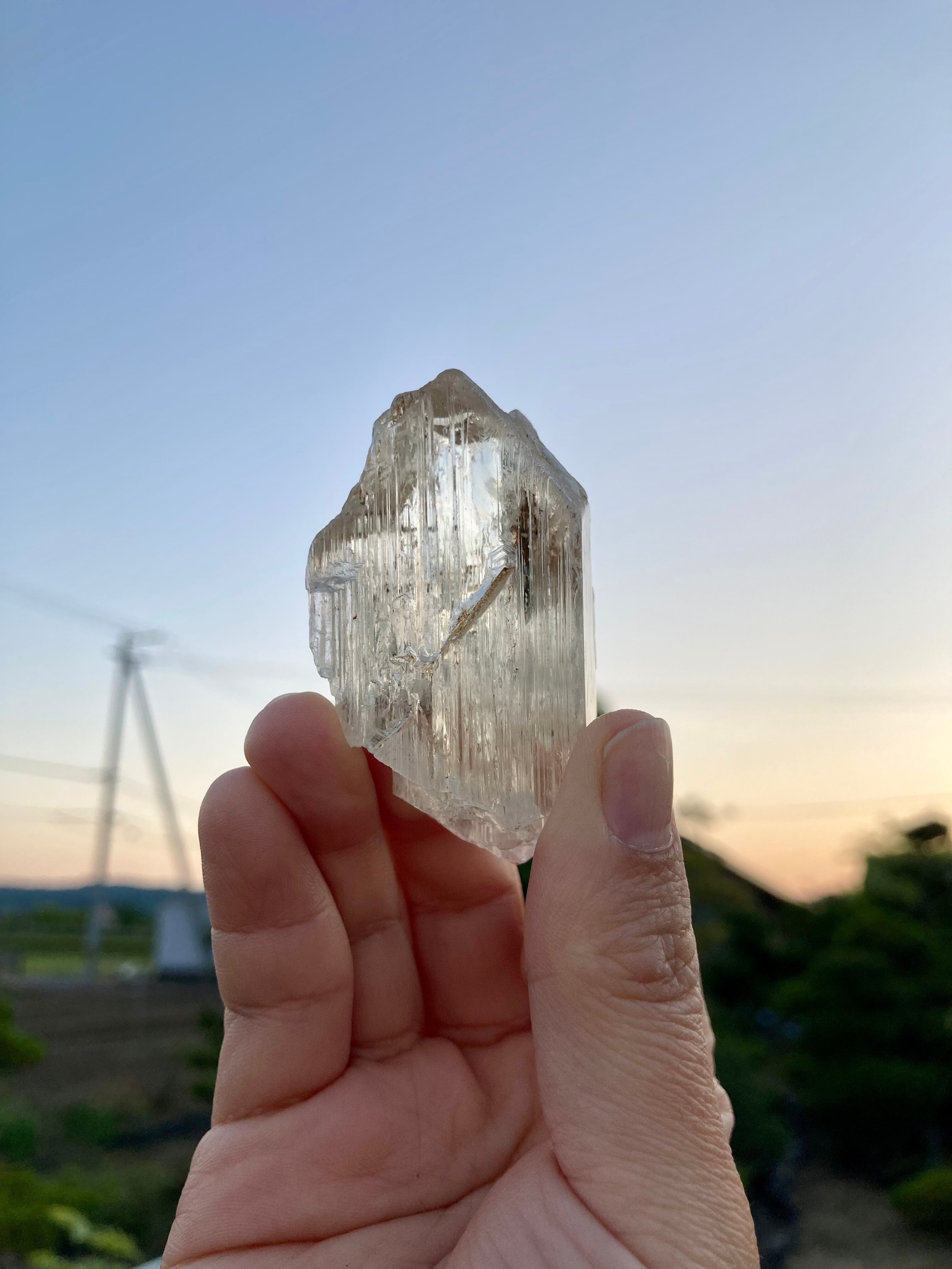 ロシアンレムリアン スモーキー 【公式通販】