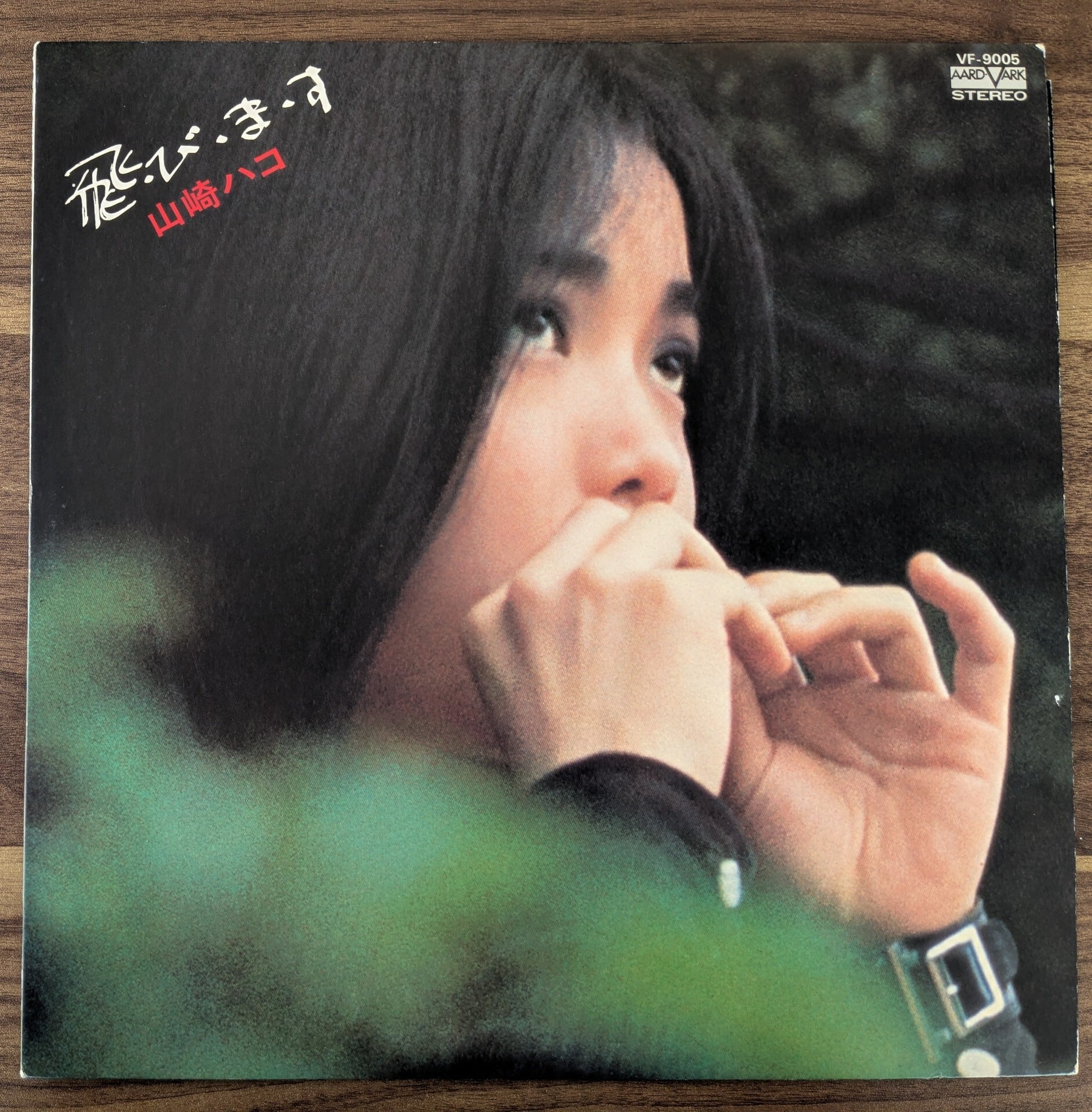 Fishmans+「A Piece Of Future」：12inchレコード | 音とこだま