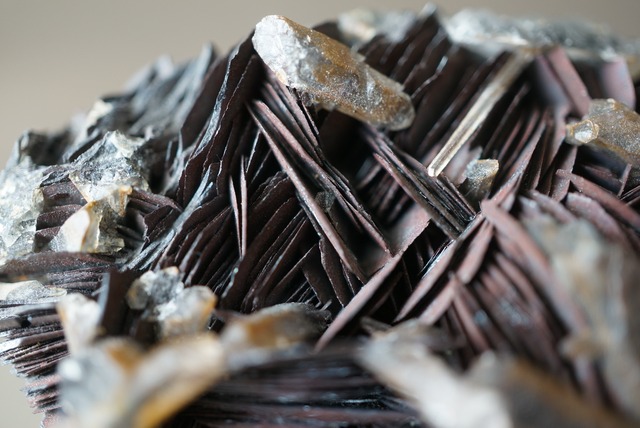 アイアンローズ/クォーツ Iron Rose/Quartz 1647