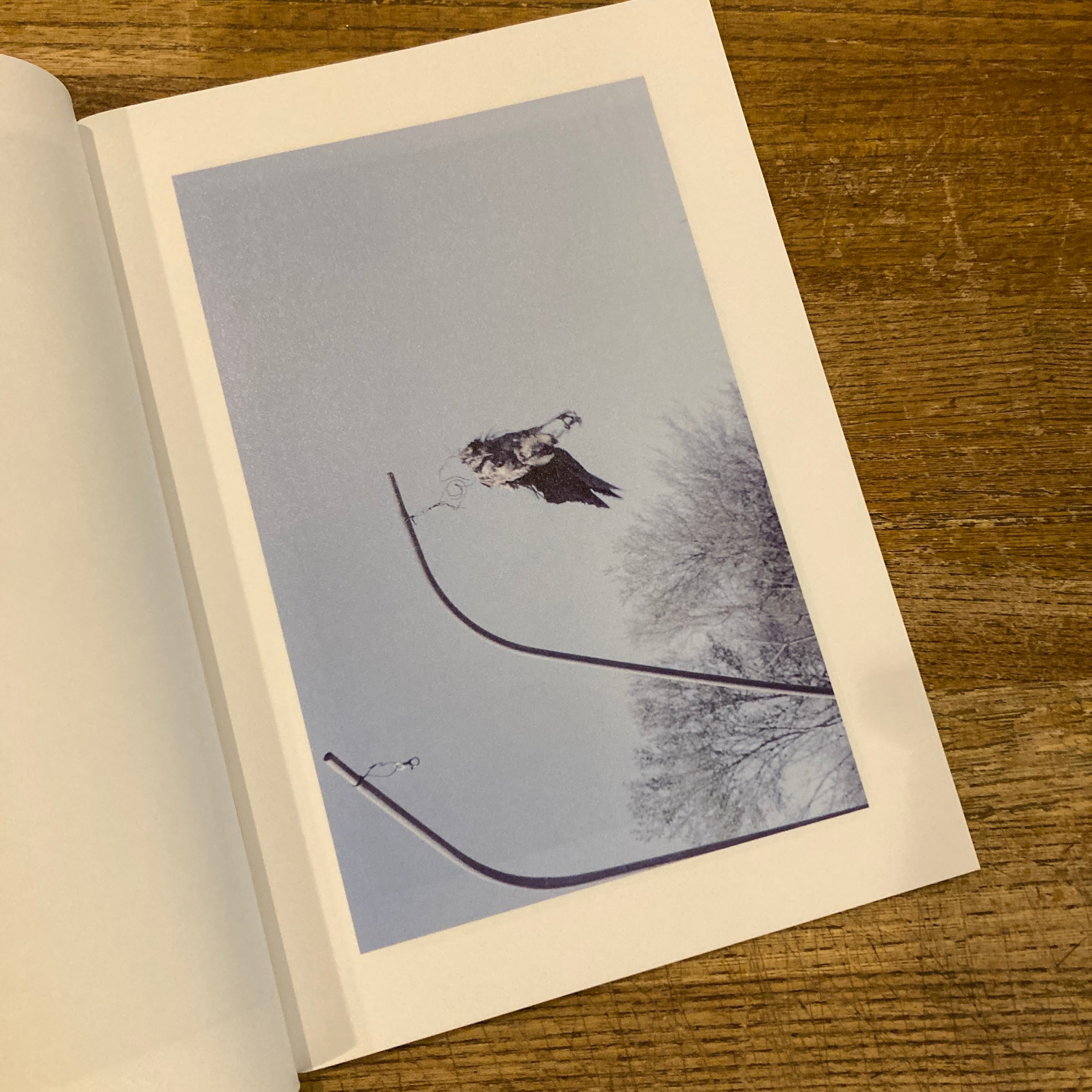 LOST / Kyoji Takahashi 高橋恭司 | 百年