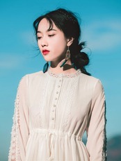 【0161】Flower Embroidery A-line Long Sleeve Dress