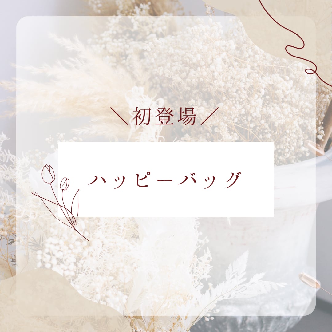 ★ハッピーバッグ