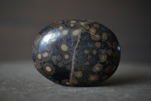 インド産ライオライト Rhyolite 1765