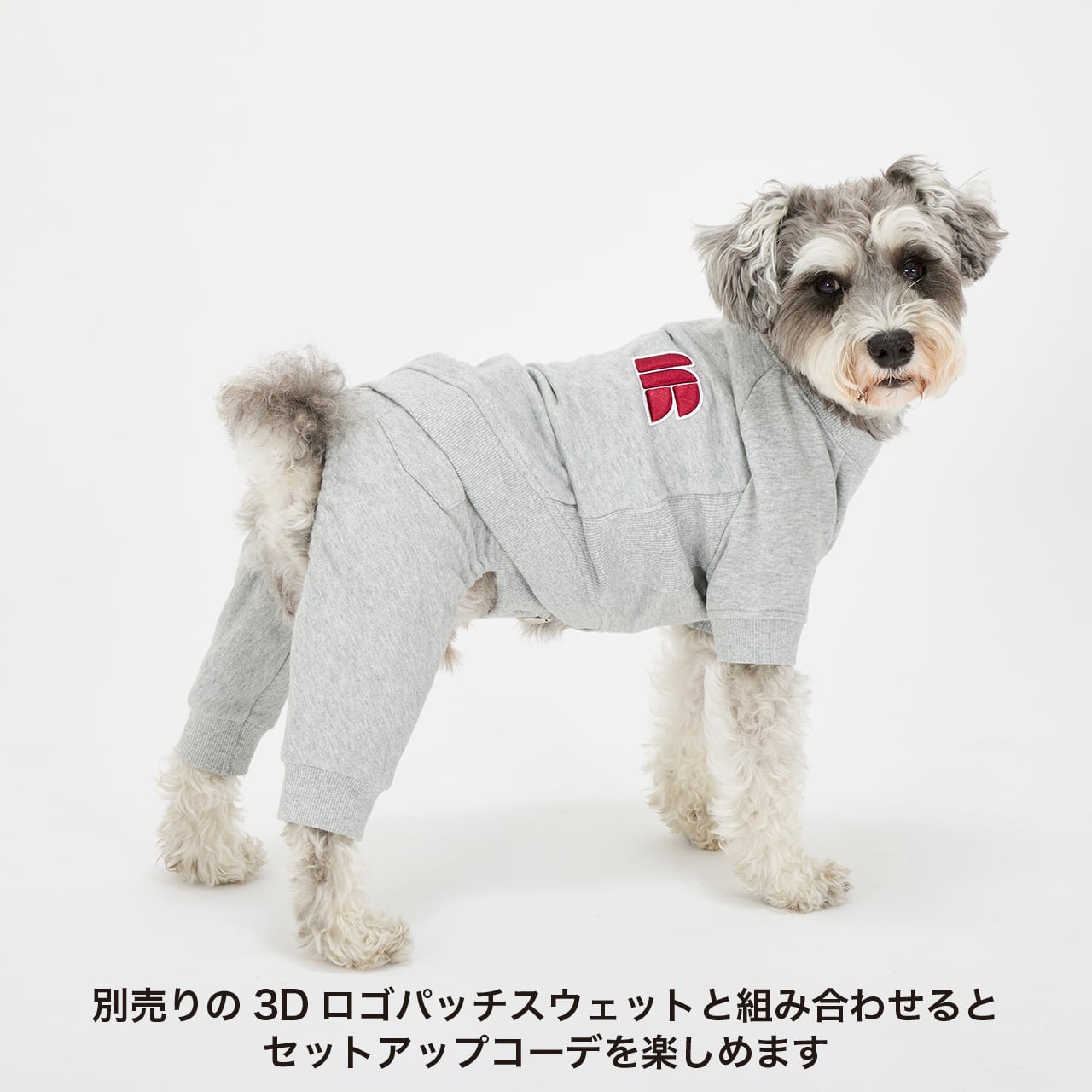 SUSPENDER PANTS（S.M） サスペンダーパンツ | MANDARINE BROTHERS