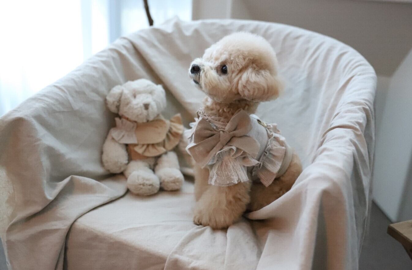XL/即納【COZY N】Cozyn Linen Harness《BeigeStripe》 | haneulpet
