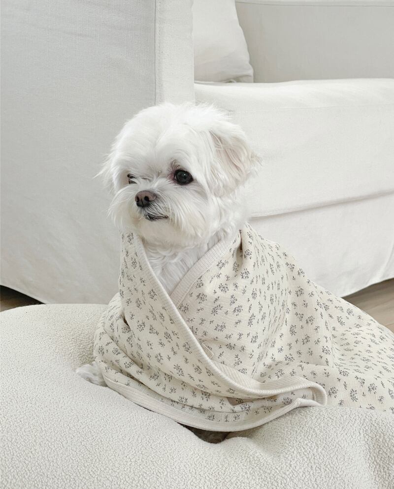 〈予約アイテム〉EYOU - ヴィンテージフラワーブランケット