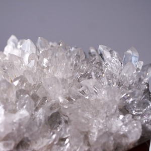 菊花水晶 クリアクォーツ / 原石 標本