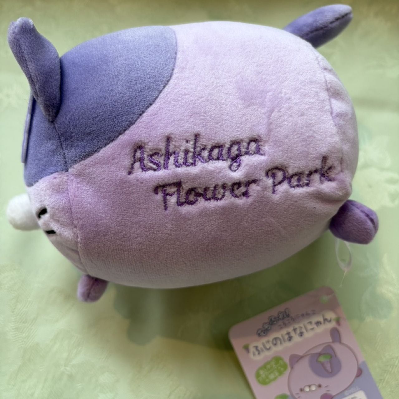 もちふわころころにゃんこ ふじのはなにゃん | あしかがフラワーパーク