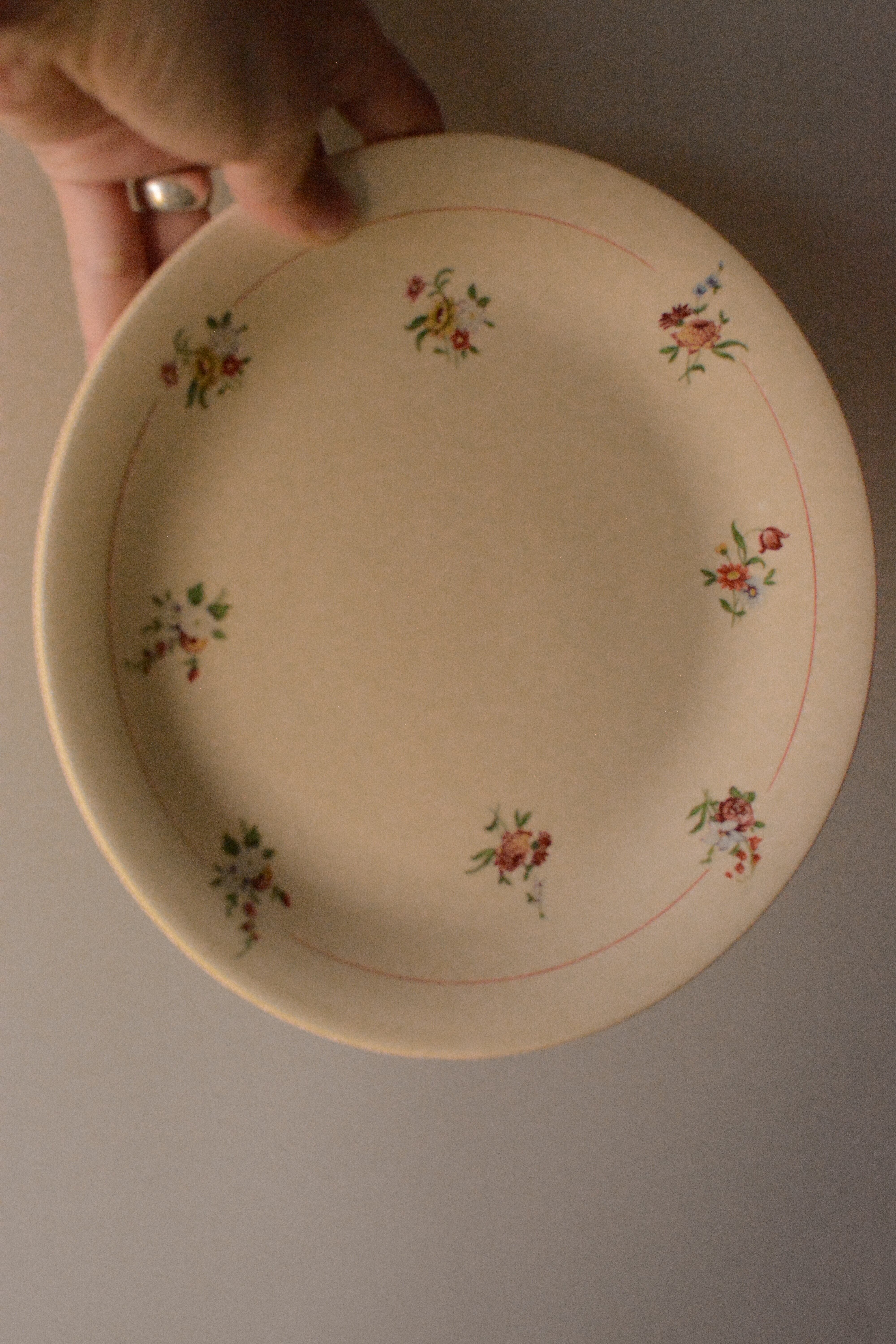 vintage plate MOULIN DES LOUPS Ⅷ
