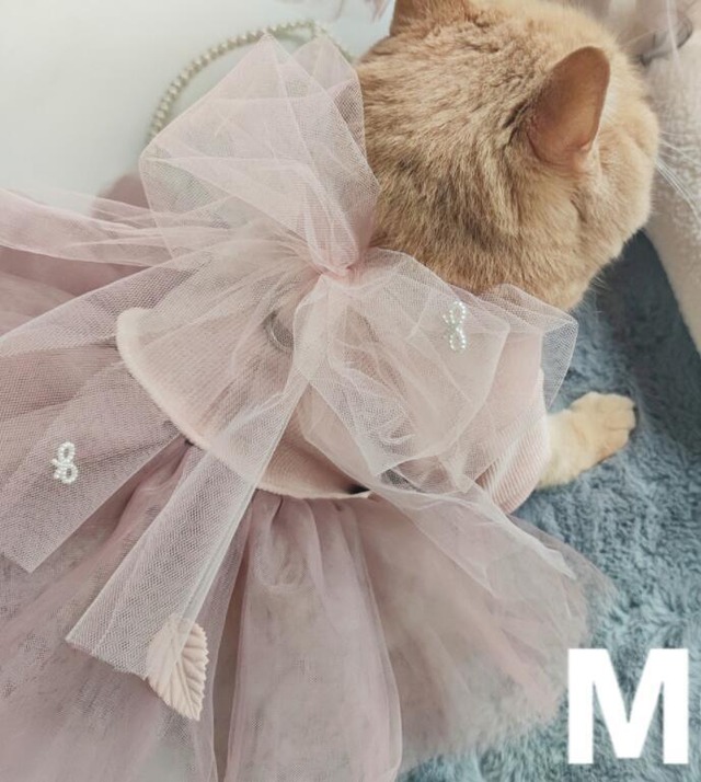 《予約》3101507 透け感ピンクチュールワンピ