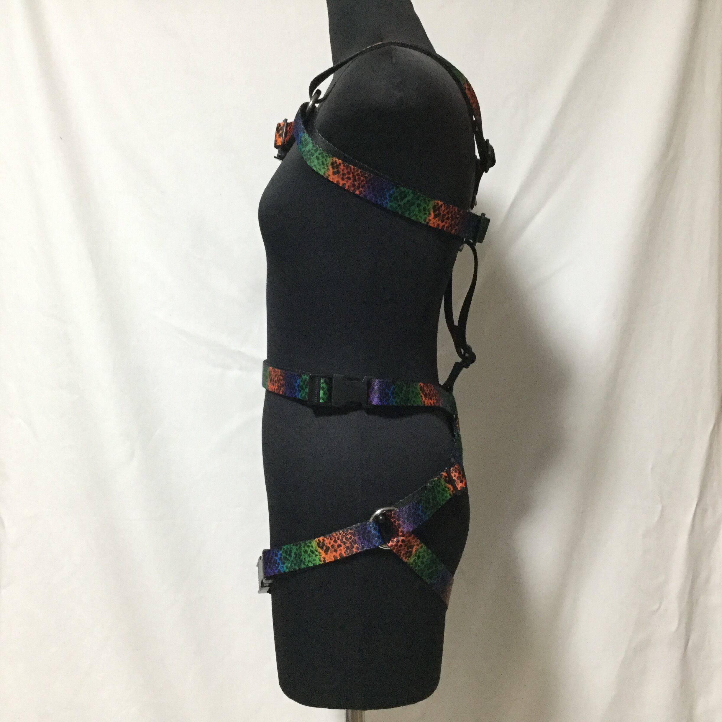 フルハーネス レインボースケール