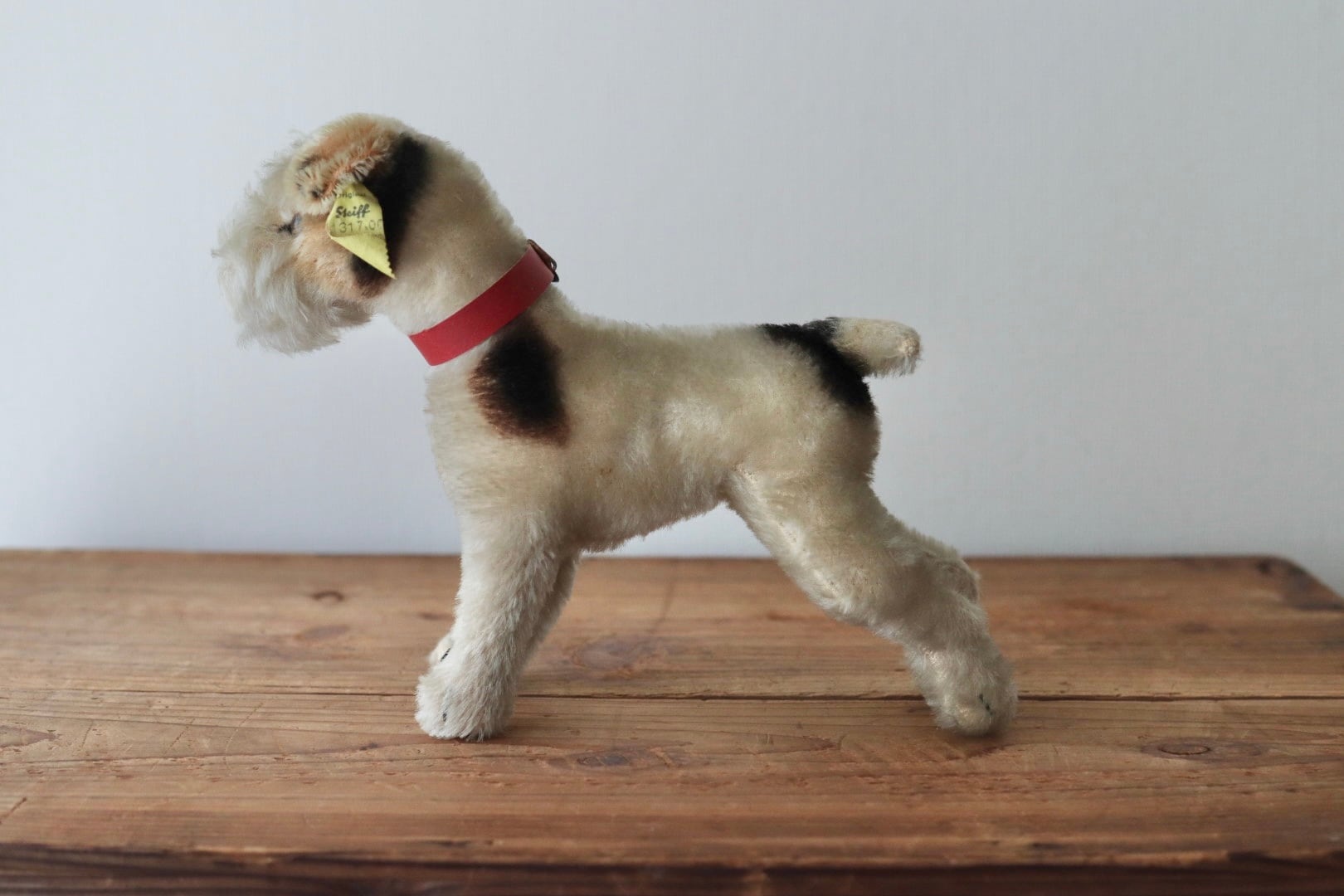 アンティーク シュタイフ 犬 ワイヤーフォックステリア Foxy 17㎝