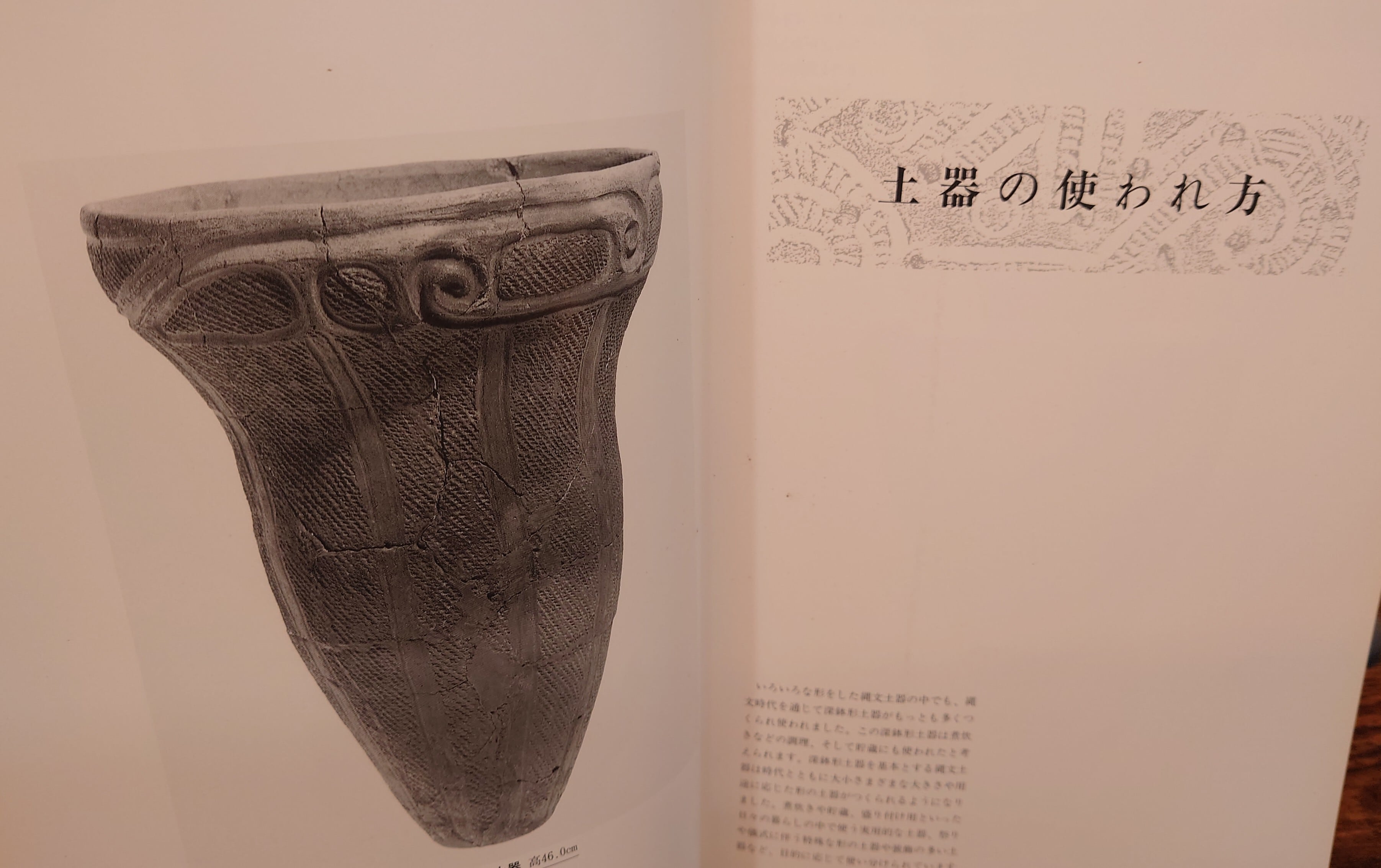 特別展 縄文土器の世界 図録 | 弥生坂 緑の本棚