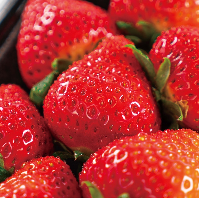 《送料無料》【独自ブランド】１箱セット・恋の国筑後生まれの「恋ひめ・恋みのり」食べ比べセット2パック入り/１箱セット　（1トレイ270g）